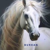 burkan04