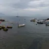 ziomike8