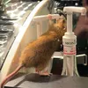 ratchalatte123