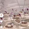 زاوية فكرى | التنظيم الحفلات