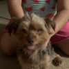 alma_fuentes0821