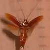 flyingcockroach9