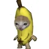 emndvss