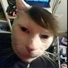 fnfgfurhgffhfu