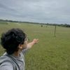 iyed535