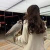 Dareen Almutairi