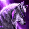 alex_sis_208