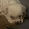 11235813u