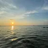 xgwx6