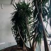 elissa_4790