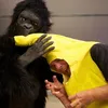 johhnybanana21