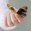 tahmina.ashraf05