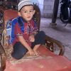 nestydenis234