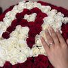 _alina_officia_l