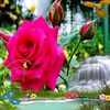 martha.cho632