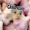 q.p0rra