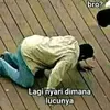 k_mey29