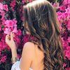 dianavs6