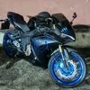 the.black_fury