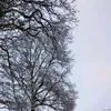 co_re_1
