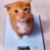 m0serr1