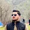 hamza_govayi