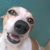 felipe.faa