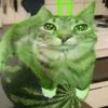 gato_alien12333