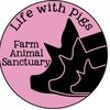 Life With Pigs Farm Sanctuary