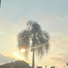 sgmb_seguidora
