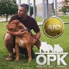 otapitbullkennel