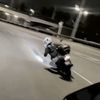 pleriwingpp