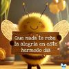 tuamordavida