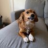 whatthebeepisgoingon
