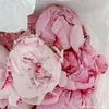 userwtltsshfeb