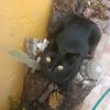 user076119341
