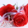 hshsbjs1