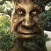 confusedmonkey73