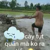 userx5jr72ugi8