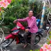 phandau36