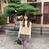 trankhnahly