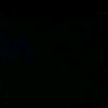 xams_xc