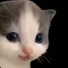 viydz8
