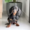 arlo.miniwiener