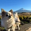 riku201945