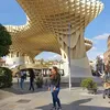 linettecolon1