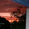 nolosering