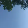 ikaariskaa08