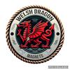 welshdragonmagnets