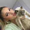 xile limani